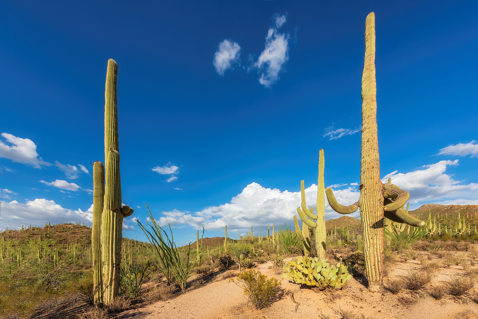 Hinderaker Law Divorce